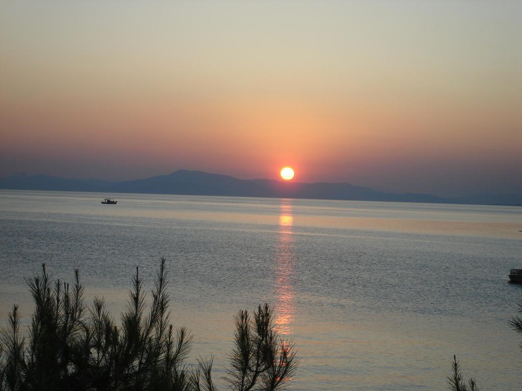 Stelios Seaside House Villa Lefokastro Eksteriør bilde